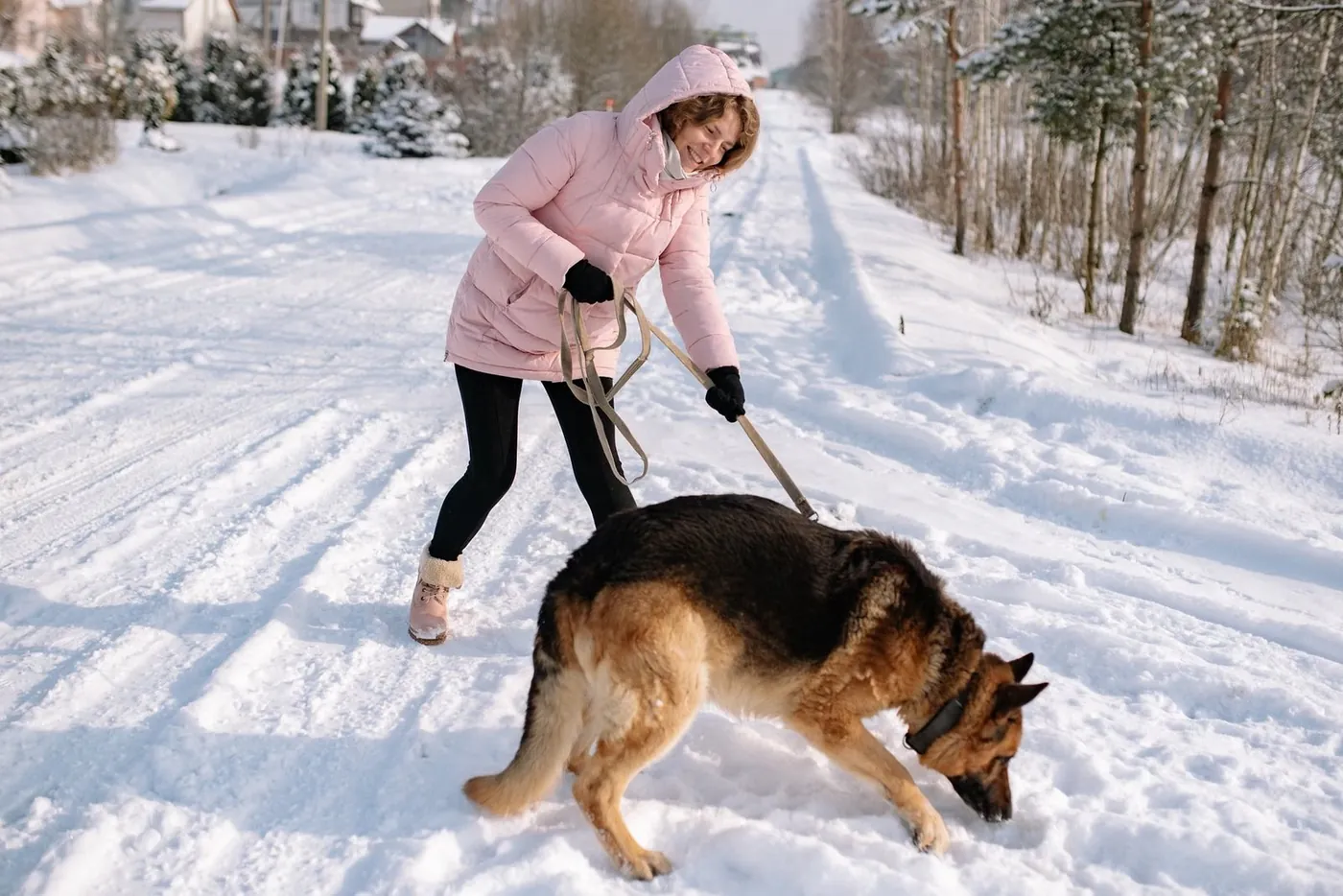 A woman in a pink jacket playing with a German Shepherd on a leash along a snowy road.